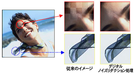 従来のイメージ画像と、デジタルノイズリダクション処理をした画像比較の部分拡大写真例。